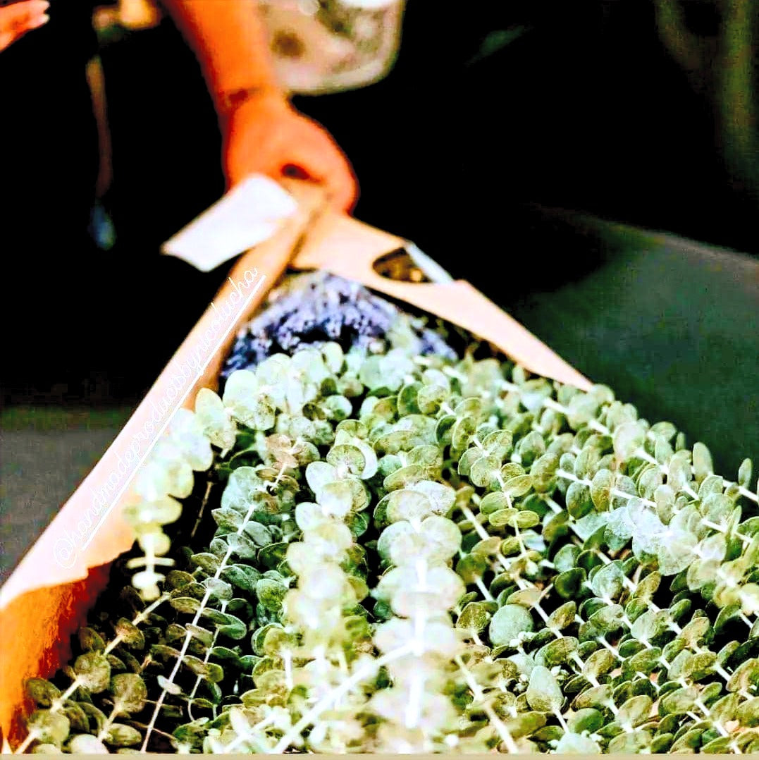 Eucalyptus + Lavender Shower Bundle image 1