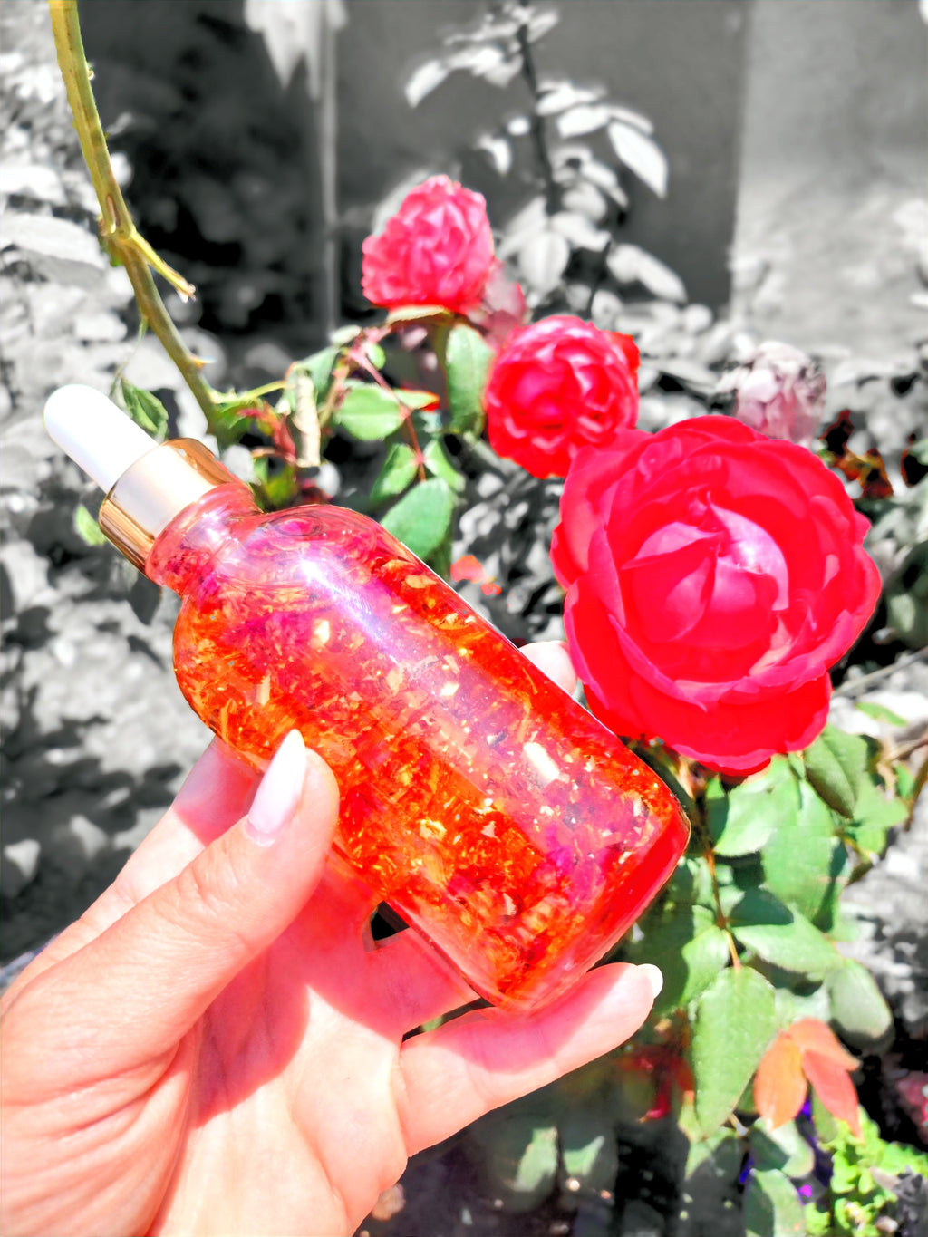 "Can I Call You Rose?" image 1